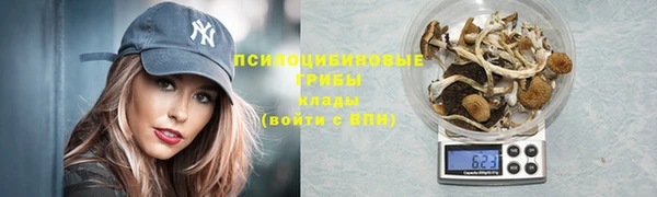 тгк Абинск