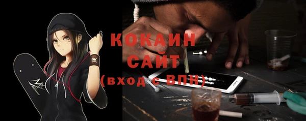 спайс Алексин