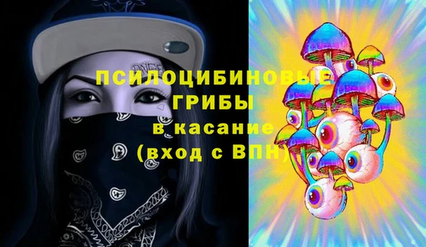 тгк Абинск
