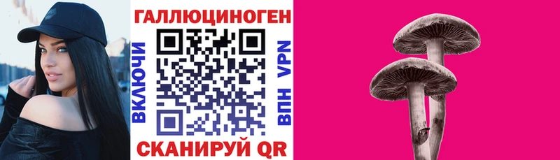 Галлюциногенные грибы MAGIC MUSHROOMS  где найти   Иланский 