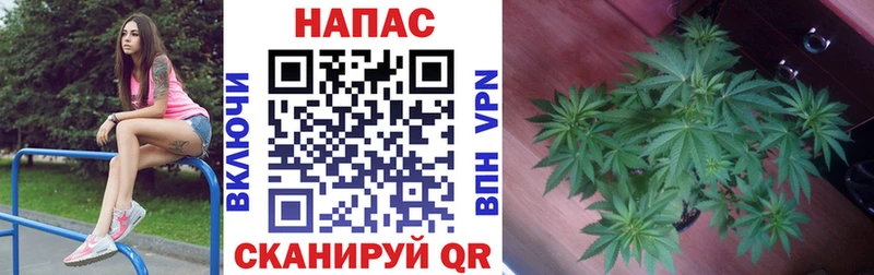 Бошки Шишки VHQ  наркота  Иланский 